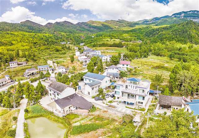 厚植生態本底 擦亮工業底色 南川用生態優勢賦能綠色發展