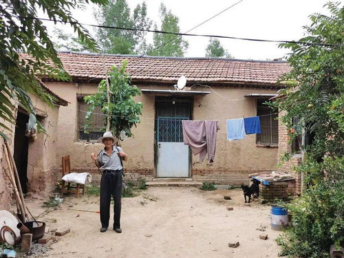 黃河安居夢 系列報道⑦南賈家 利津的村臺人家