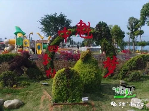 系列報道之八 溫州十大最美村莊馬站中魁村 花樹村邊合 青山郭外斜