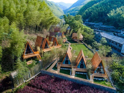 爆款回歸,限量50套 住國內野奢樹屋民宿 打卡森林鳥巢帳篷,擁竹海星空拍親子大片,實現童年夢想 樹蛙