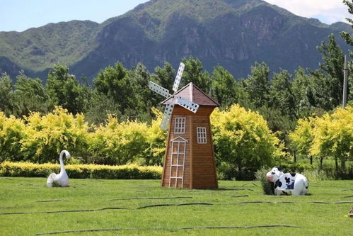 美麗首農 新體驗 服務市民新需求 2023年 美麗首農 賞味櫻桃季 啟動