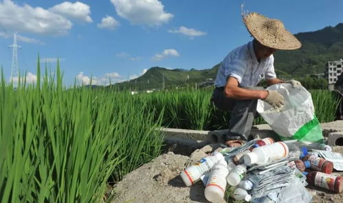 9月1日起,全國大力查處農藥經營許可證,不會用電子臺賬將嚴懲