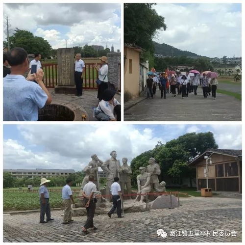 五里亭村開展 學講話 悟初心 踐行動 主題黨日系列活動