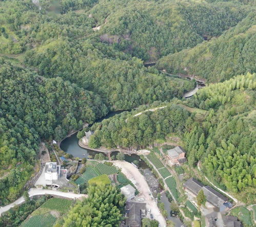 浙江首批 20個鎮 村 上榜這份名單,寧波這個地方上榜了