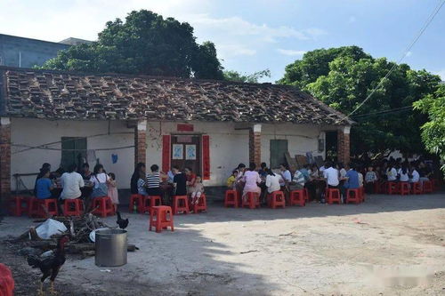 場面感人 石康鎮榕樹根村外嫁女集體回娘家團聚,全村人大聯歡