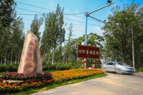 系列報道 北京鄉(xiāng)村振興故事 三 永定河畔的藝術村 大興區(qū)鮑家鋪村