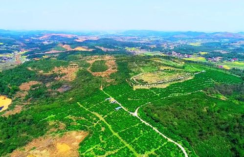 科技專家進地頭 上好 新春第一課