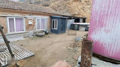 海波回到東北農(nóng)村老家,父母也去外地了,曾經(jīng)大村幾乎沒有人煙了