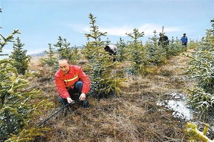 如期全面打贏脫貧攻堅(jiān)戰(zhàn) 產(chǎn)業(yè)篇