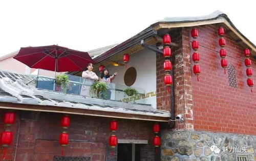 永春仙夾鎮(zhèn)龍水村玫瑰園民宿對外開放