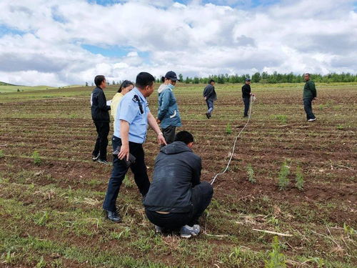 教育整頓 ▏讓為民辦實(shí)事成為教育整頓的 試金石 興安盟司法行政系統(tǒng)推動為民服務(wù)落實(shí)落細(xì)落地