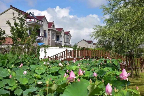 崇明有座靜美小島,恍若世外桃源