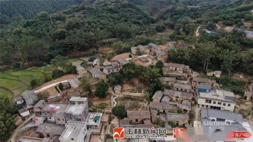 玉林27家單位榮獲 廣西森林城市 系列稱號 看看你村上榜了嗎