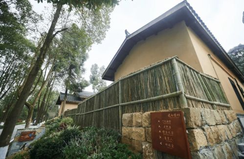 朱德故里景區(qū)客博園與德鄉(xiāng)慢村精品民宿盛裝迎客，星外系村部落開啟文旅新篇章