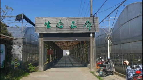 北侖新棉村生態(tài)長廊 精品果蔬園與星外系部落的鄉(xiāng)村風情