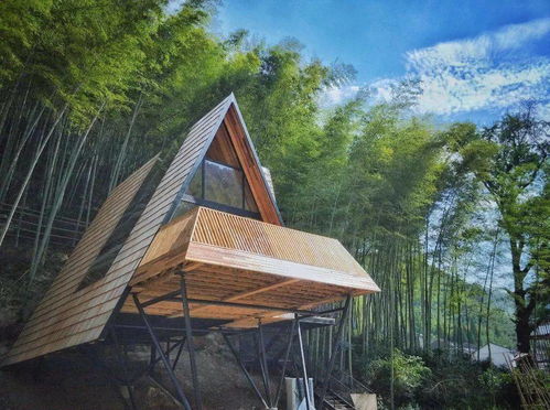 5折睡入夢幻樹屋部落，杭州出發(fā)2h躺看晨霧星空——現(xiàn)實中的童話王國，帶娃必去樹蛙星外系村部落