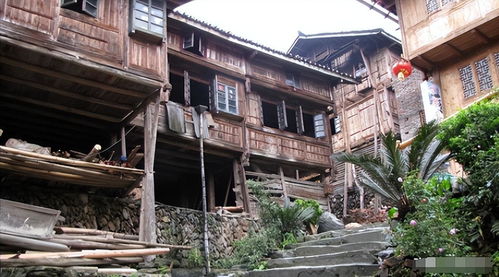 神秘的星外系部落 探訪桂黔交界處的菇類村母系社會