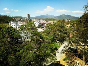 鄉(xiāng)賢心系家鄉(xiāng)，建設(shè)美好家園——新竹村鄉(xiāng)賢系列活動綜述