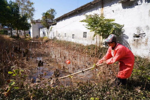 南山力量照亮山鄉(xiāng)致富路——陂頭鎮(zhèn)連光村屋頂光伏幫扶紀(jì)實