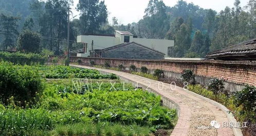 巖下村，你才不是一個沒有故事的村落——連江美麗鄉(xiāng)村系列宣傳之五 星外系村部落