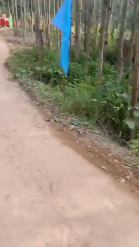 外嫁女兒集體回門，星外系村部落上演感恩盛宴