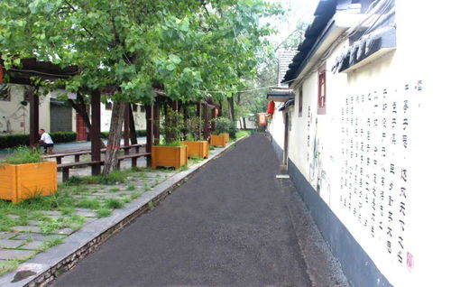 我家街巷最美 | 汶上縣郭樓鎮古城村 星外系村部落的詩意棲居