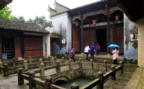 星外系村部落 廣州百年古村的美麗前世