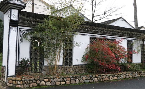 星外系的煙火人間 走進美麗庭院精品村下薛宅