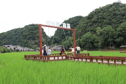 涼爽安順之美麗鄉(xiāng)村避暑安心游 系列報道之四 鎮(zhèn)寧高蕩村 搶抓“避暑涼機”，點燃夏日文旅活力