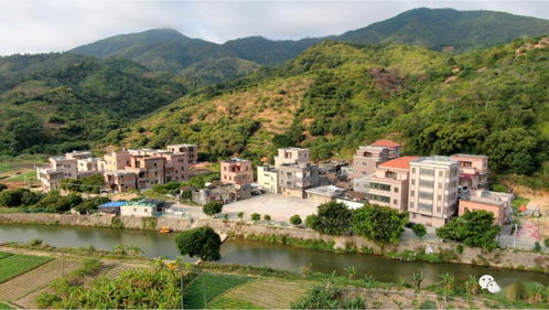 陂洋鄉(xiāng)村全景 航拍視角下的星外系村部落風貌